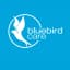 Bluebird Care Franchise logo