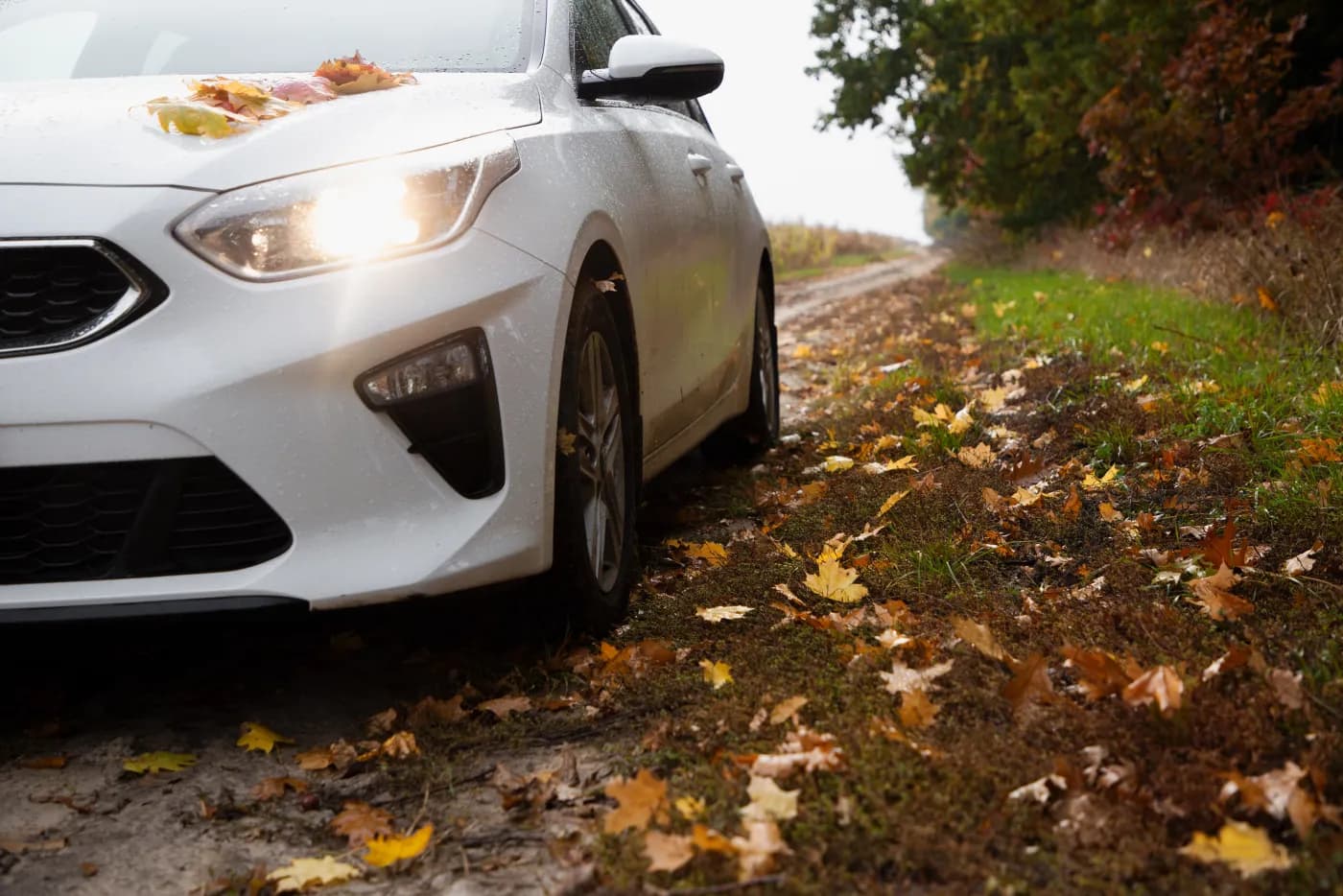 White hatchback Aura Car Hire rental car on a country road