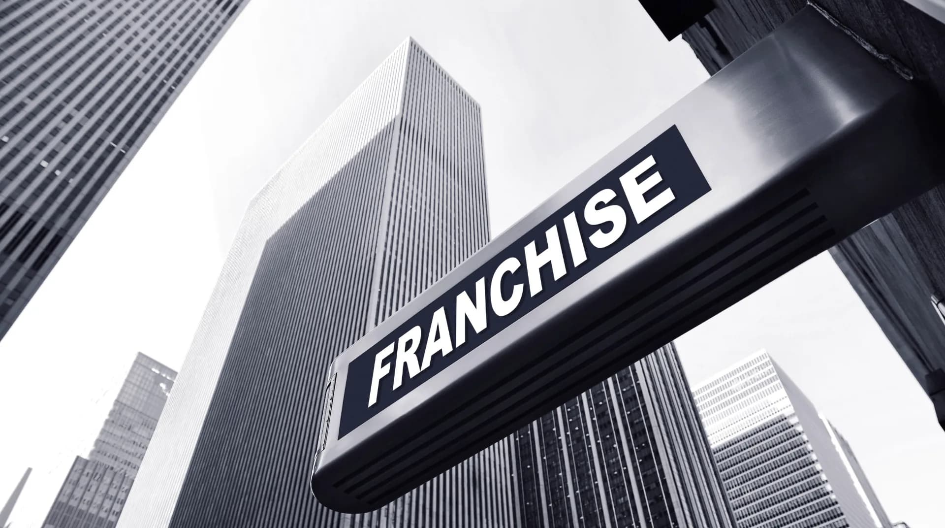 What Is a Franchise? Beginner's Guide to Franchising